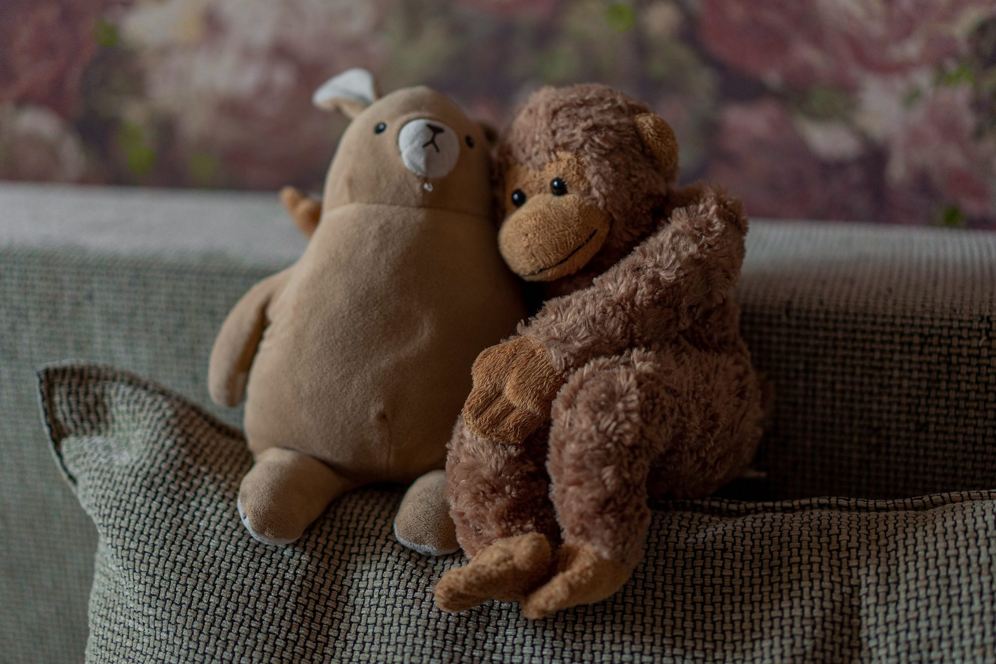 Two soft toys left on a sofa in a quiet room, waiting for someone to begin