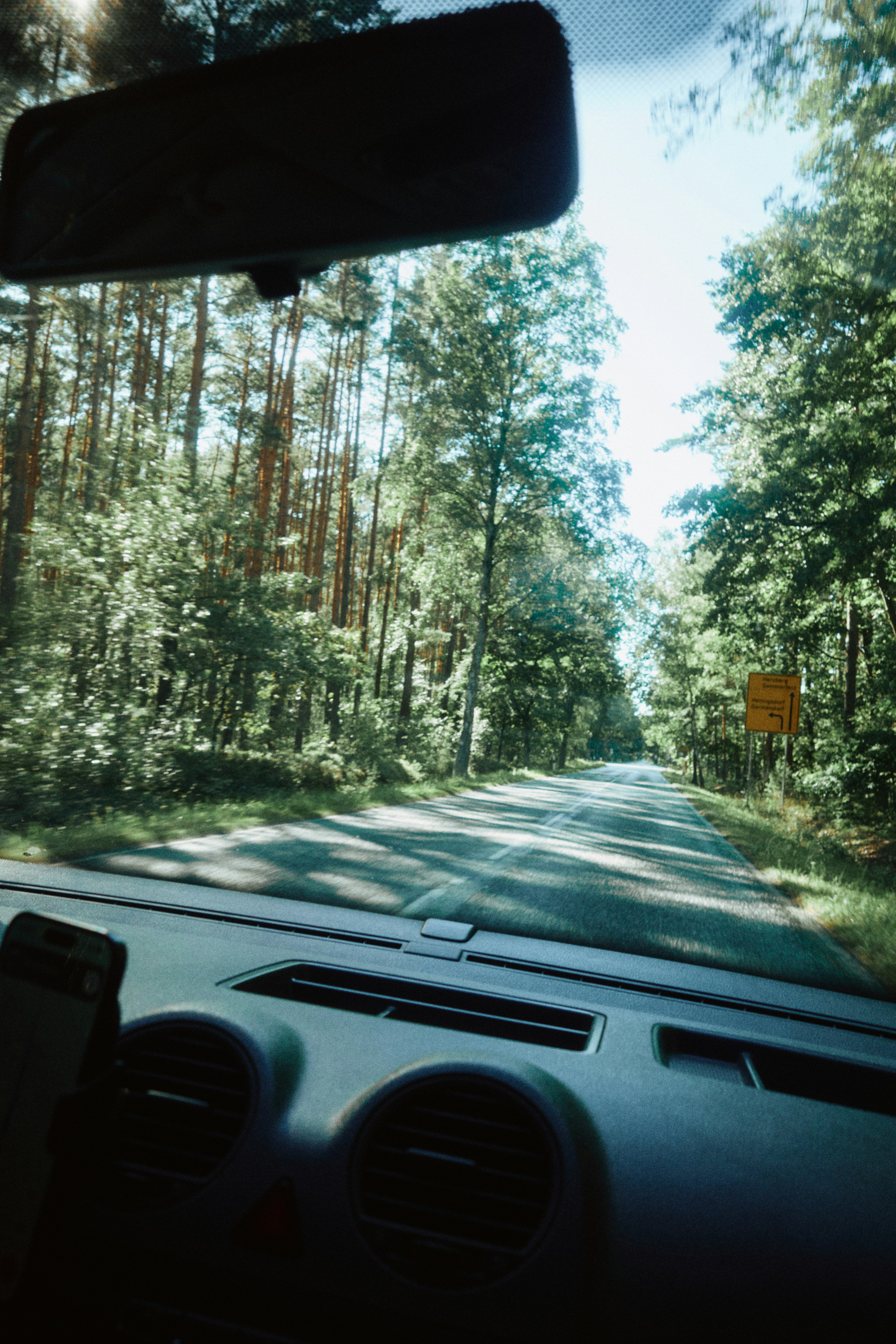 Driving a narrow road through dense forest