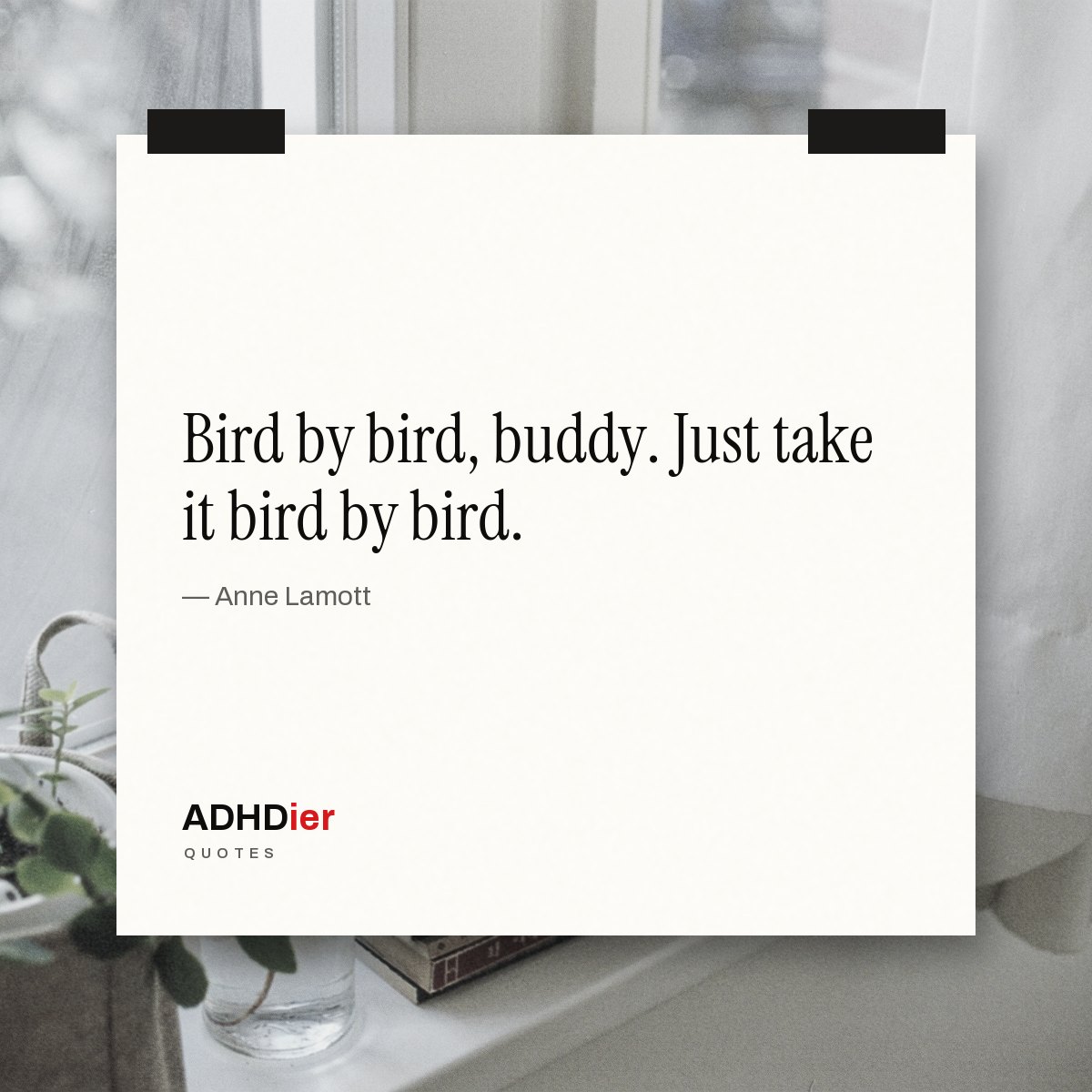 “Bird by bird, buddy. Just take it bird by bird.” — Anne Lamott