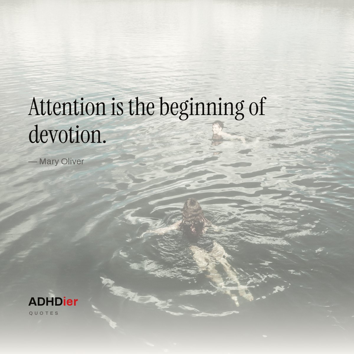 “Attention is the beginning of devotion.” — Mary Oliver